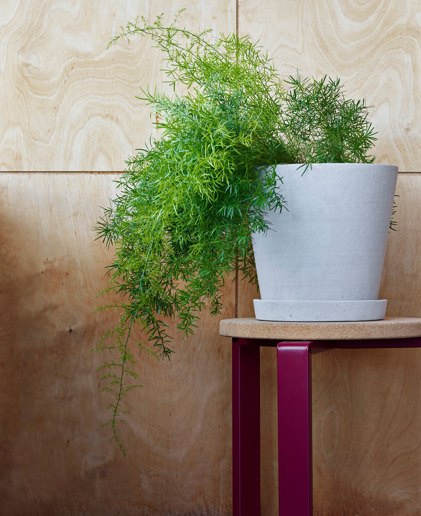 HAY Flowerpot XL ruukku+lautanen harmaa