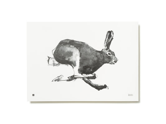 Teemu Järvi Illustrations Jänis juliste