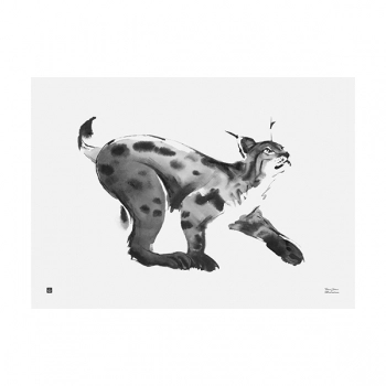 Teemu Järvi Illustrations Ilves juliste