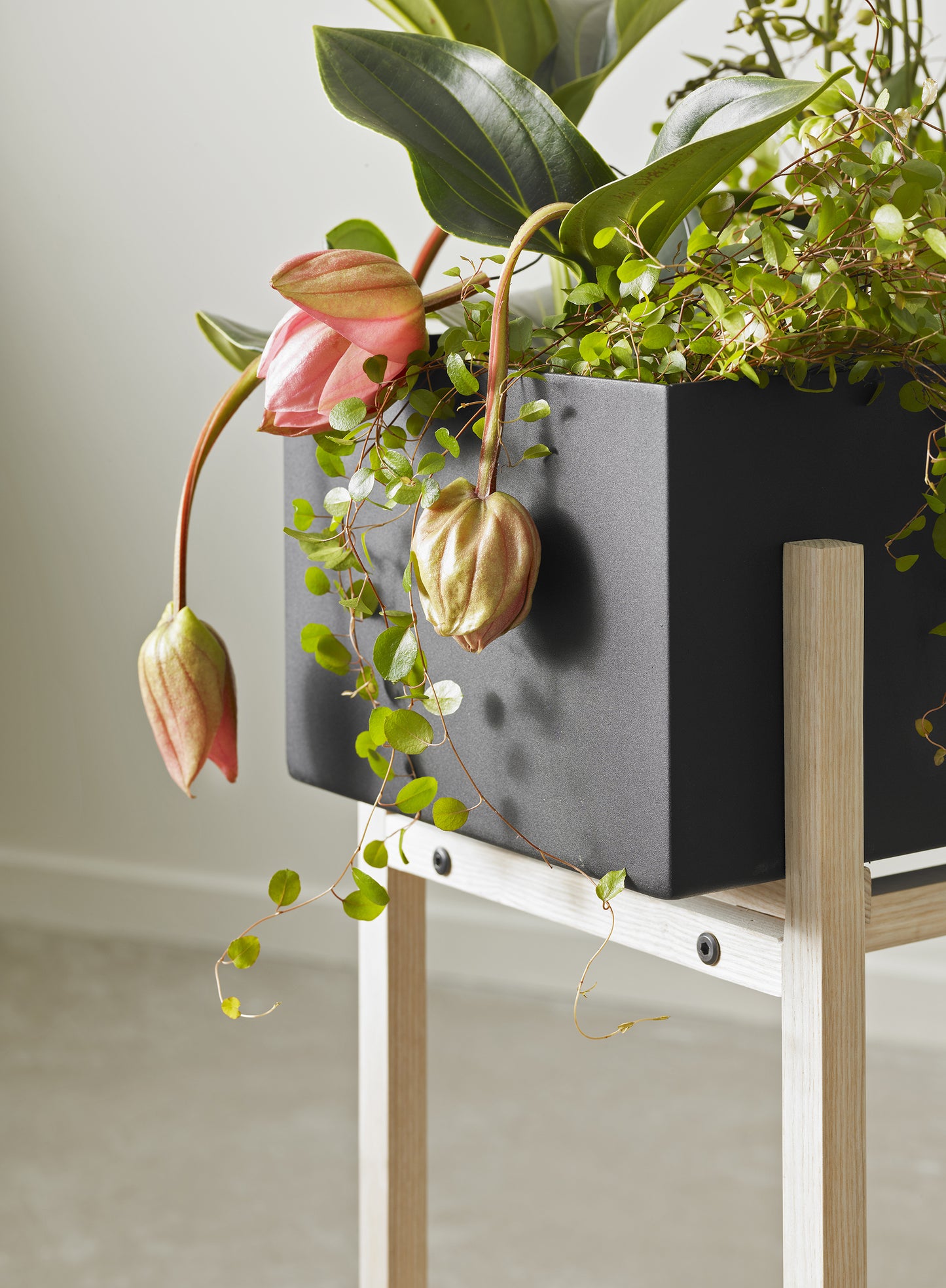 Design House Stockholm Botanic Stand musta/saarni