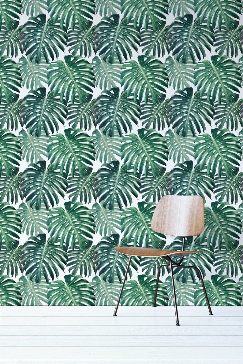 Monstera Removable Wallpaper For Nursery