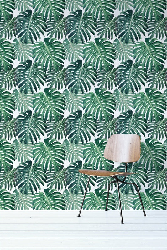 Monstera Removable Wallpaper For Nursery